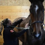 Lesley McGill | The Saddle Doctor