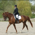 The Saddle Doctor - Lesley McGill - Customising your saddle to your horse