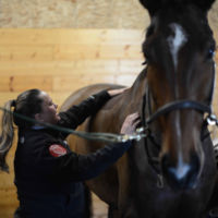 Lesley McGill | The Saddle Doctor