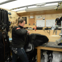 Custom Saddle Fitting | The Saddle Doctor