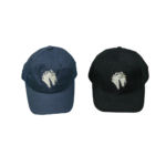 NSC Baseball Hats